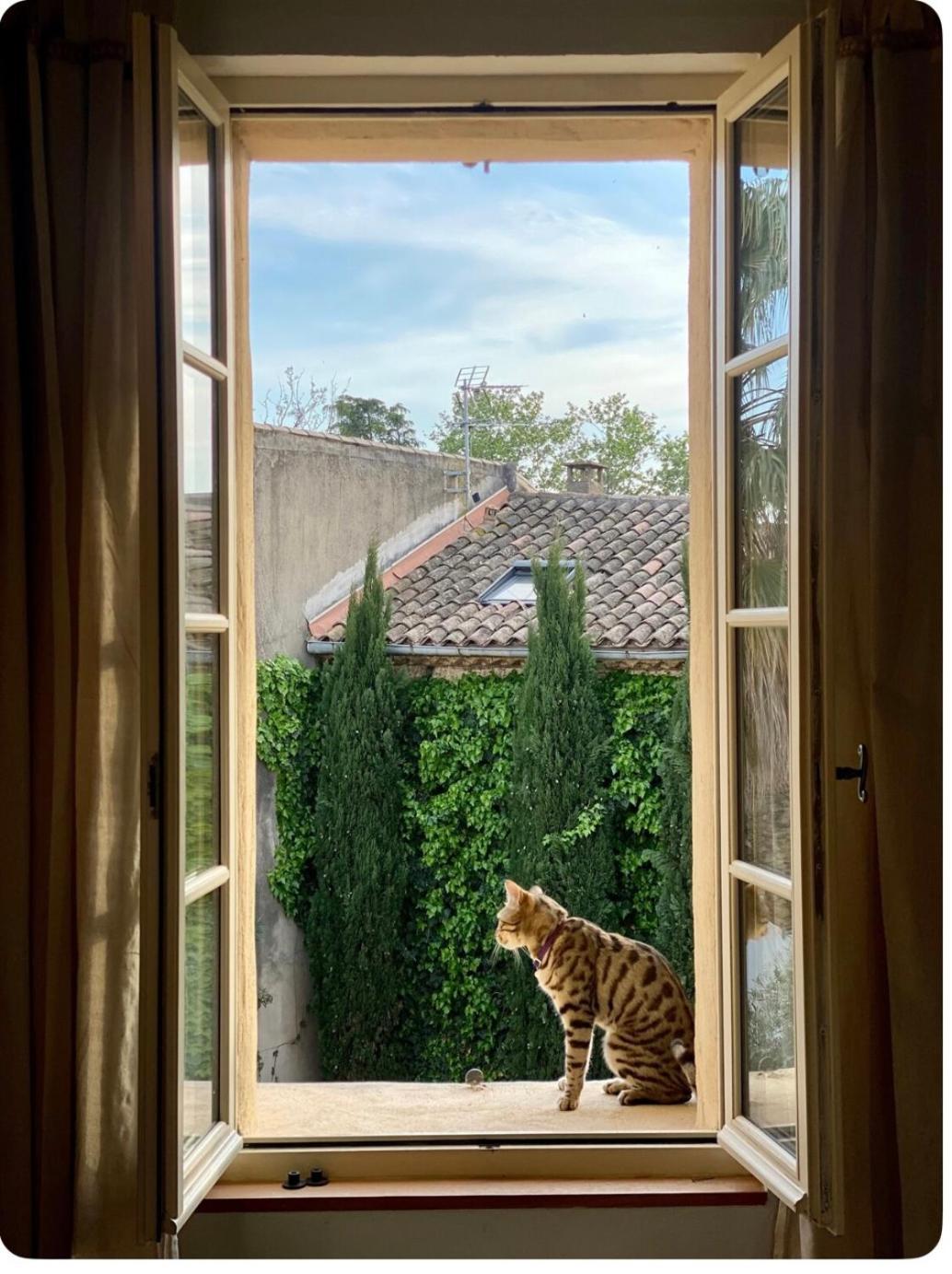 Le Figuier Beauvoisin (Gard) Exterior foto